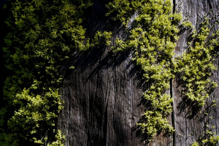 Urban Shift Project