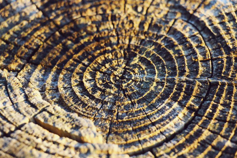 Transformation strategy: How your company can grow through circular economy and decarbonization