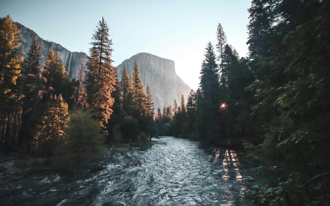 Patagonia and the future of the mountains