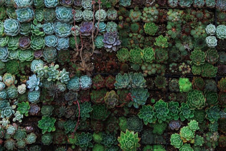 ESG & SUSTAINABLE FINANCE – IS YOUR COMPANY PREPARED?