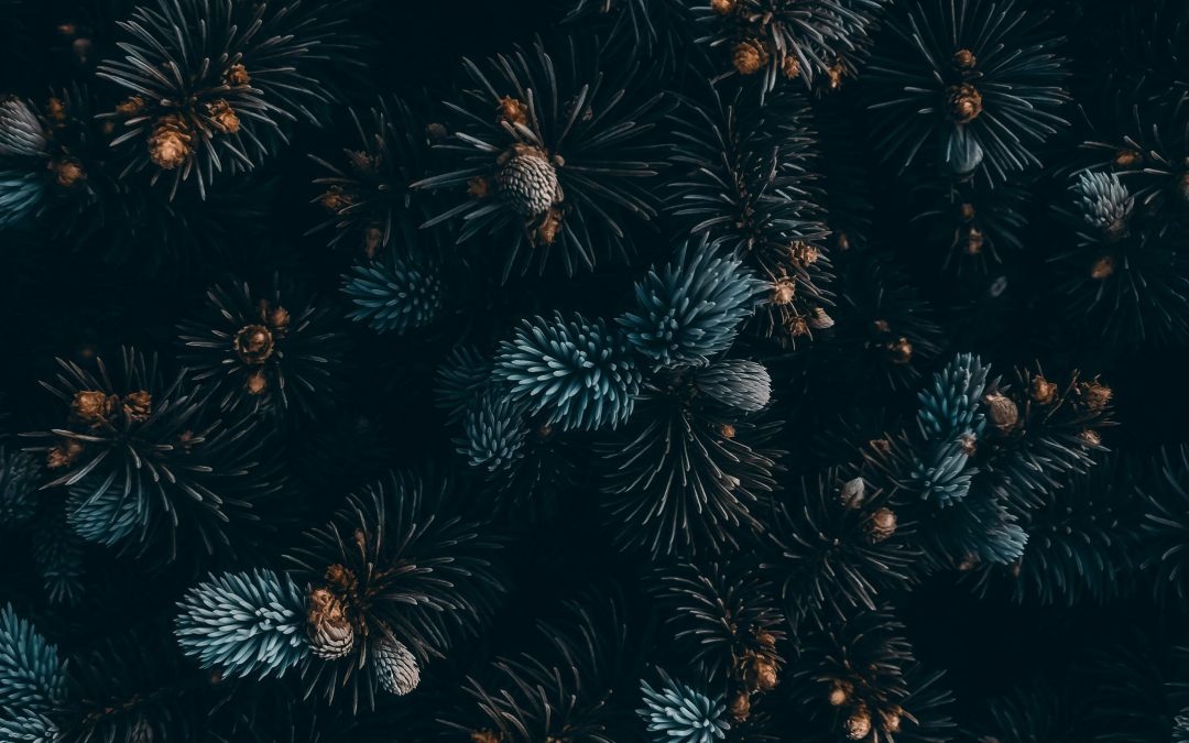 NEW EU REGULATIONS FROM 2025: GET READY!