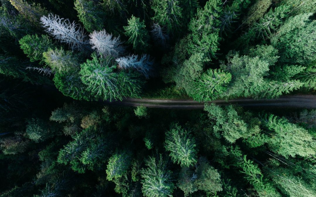 MISSION STATEMENT WAS YESTERDAY, PURPOSE IS TODAY