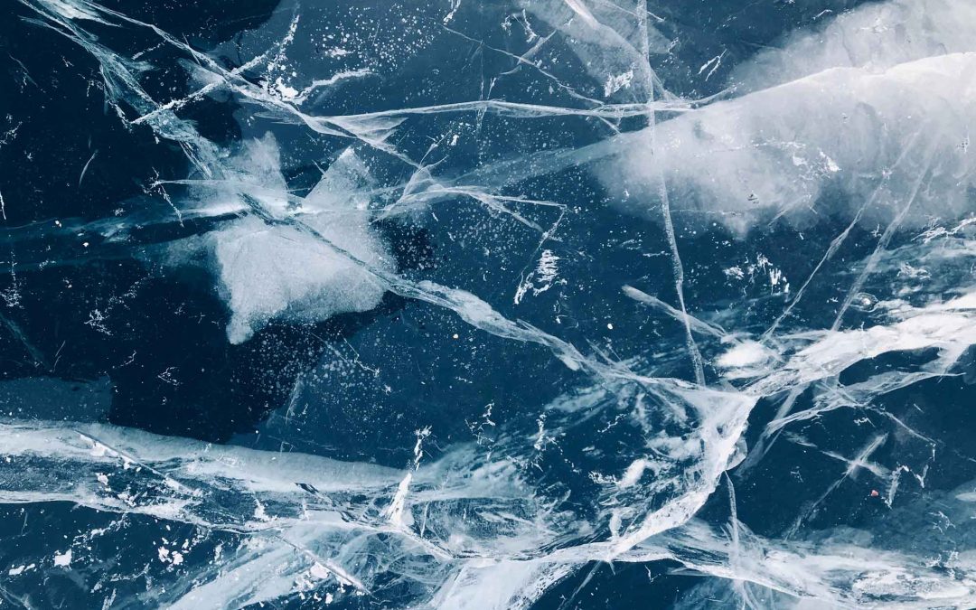 SUSTAINABLE LEADERSHIP: WHAT MAKES TOMORROW’S LEADERS?