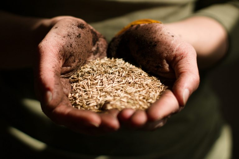 STRENGTHENING THE ROLE OF WOMEN IN AGRICULTURE: THE AGRO4SDGS PROJECT