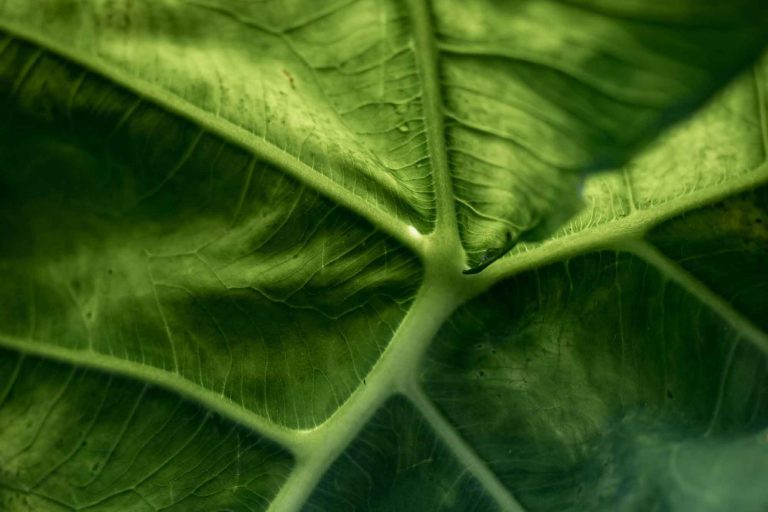 ADVANCING CLIMATE ACTION WITH SCIENCE-BASED TARGETS
