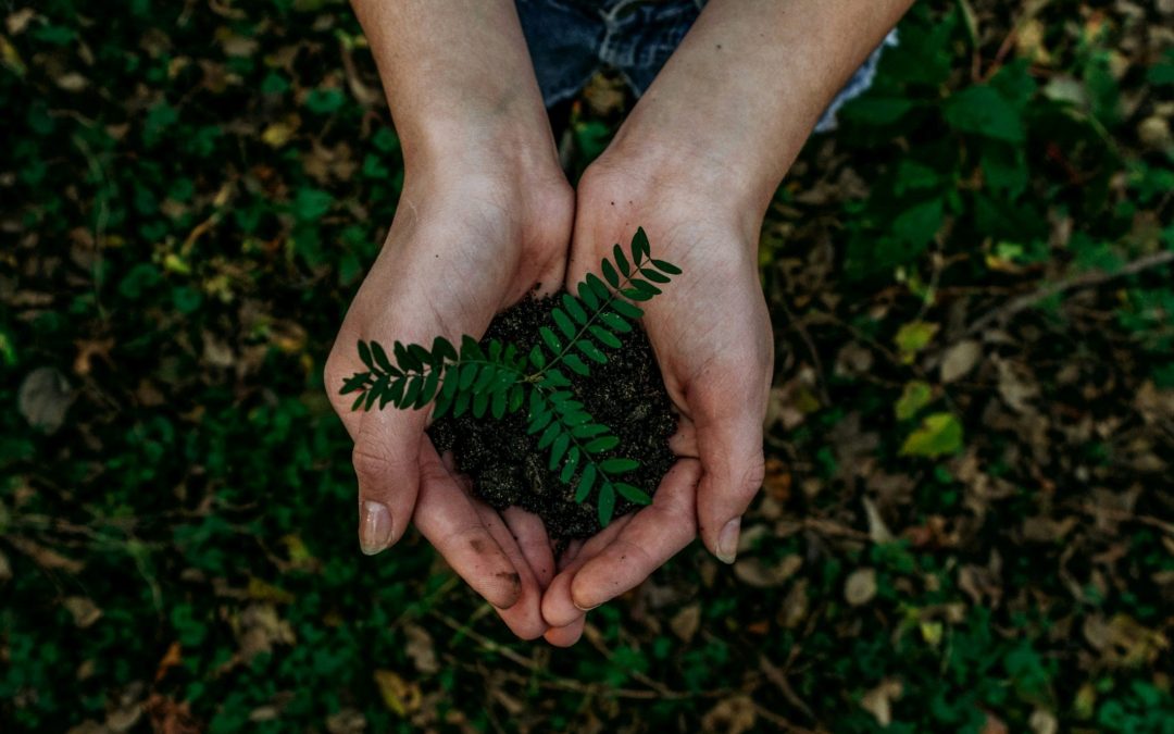 THE DOUBLE MATERIALITY ANALYSIS: AN INTRODUCTION