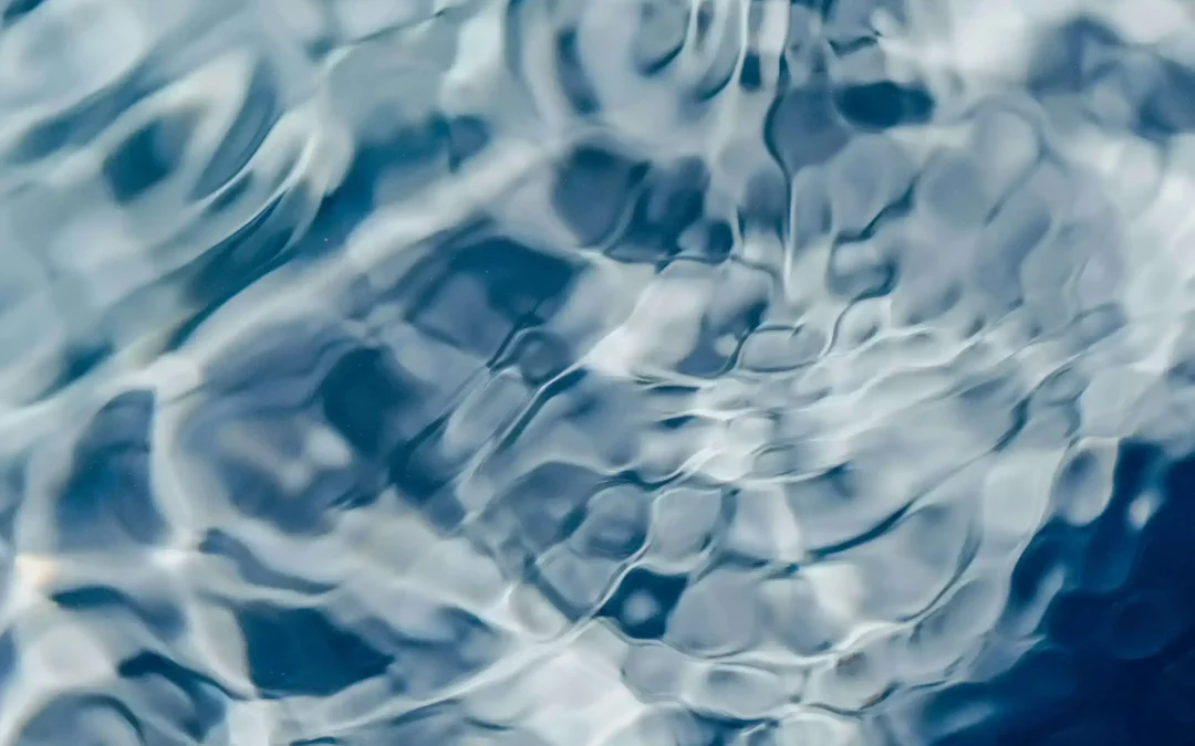 UNDERSTANDING CLIMATE NEUTRALITY: GREEN CLAIMS AND REGULATIONS