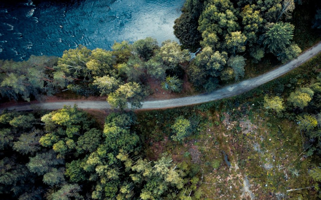 Twin Transformation – Circular economy and digitalisation