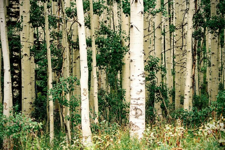 ESPR 2024: ARE YOU READY FOR THE NEW ECODESIGN REVOLUTION? 