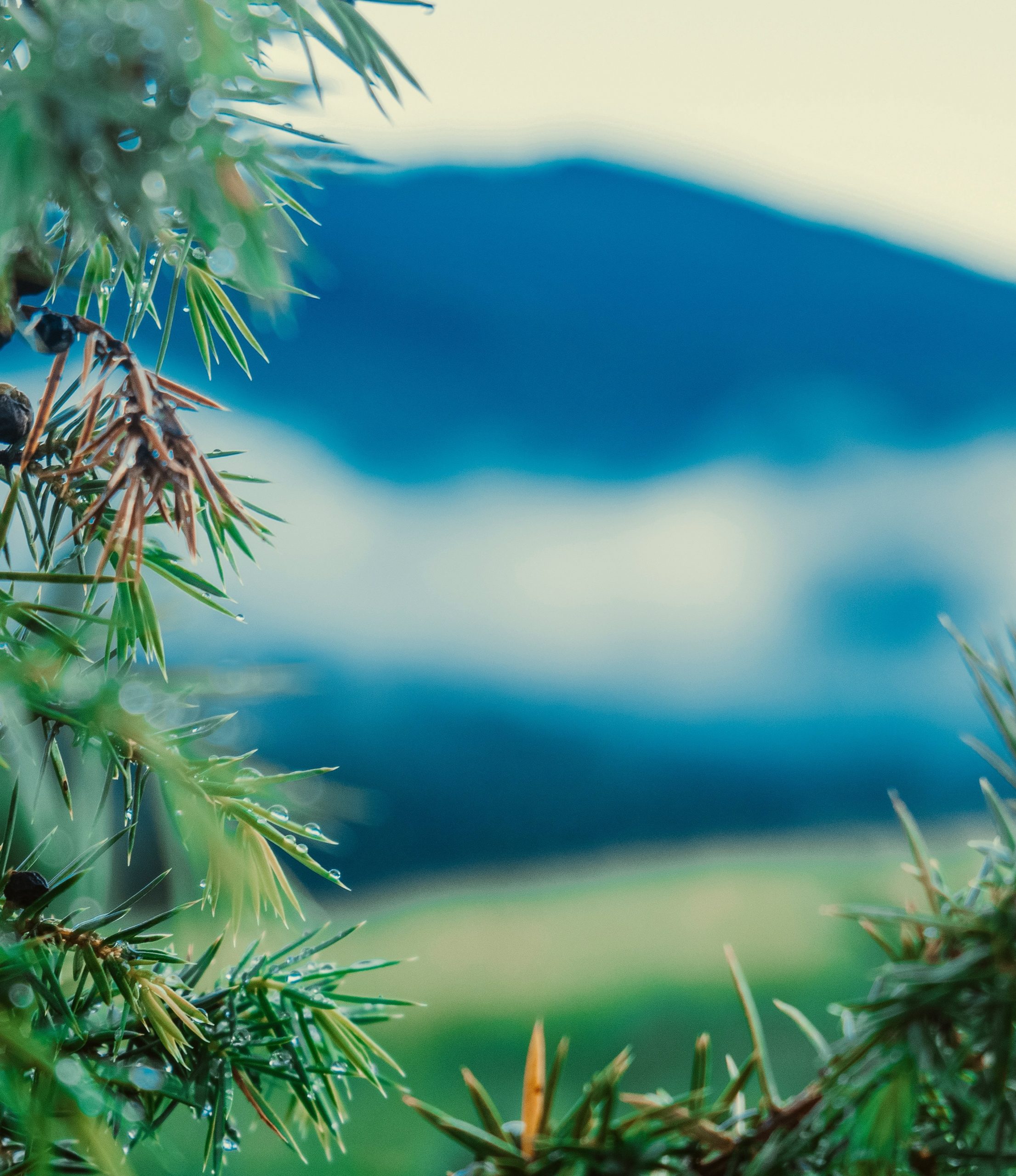 mountain vacation destination mountain vacation destination