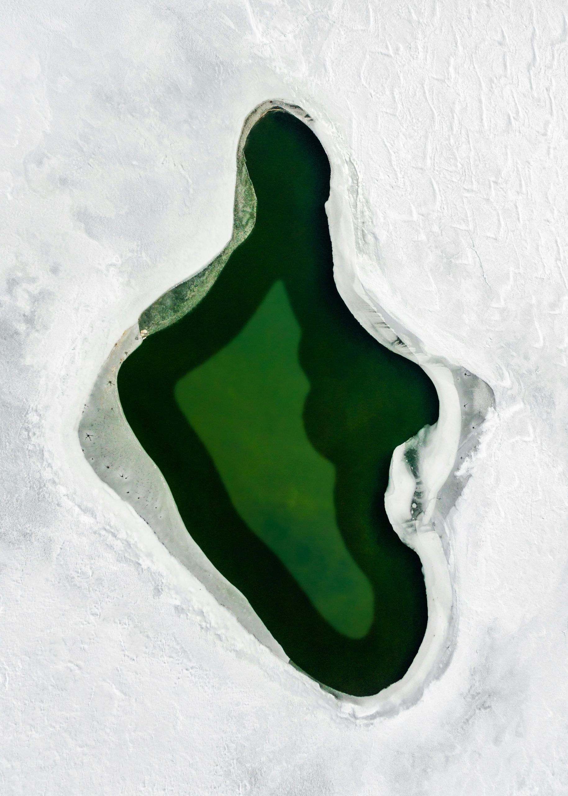 Green-Sea_dave-hoefler Green Sea