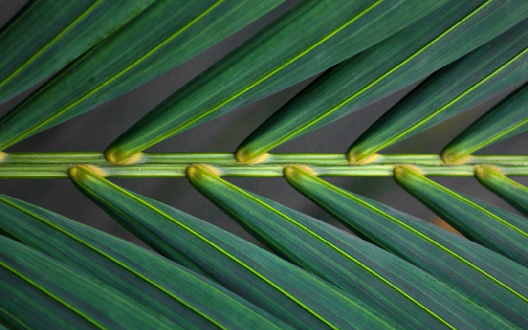 CHINA’S RESPONSE TO THE CSRD: WHAT EUROPEAN COMPANIES NEED TO KNOW