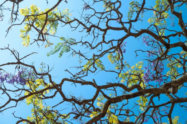 CSRD to IFRS: Guidance on sustainability reporting