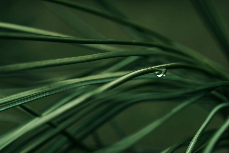 VSME FOR SMES: ESG REPORTING AS A GROWTH BOOSTER AND COMPETITIVE ADVANTAGE 