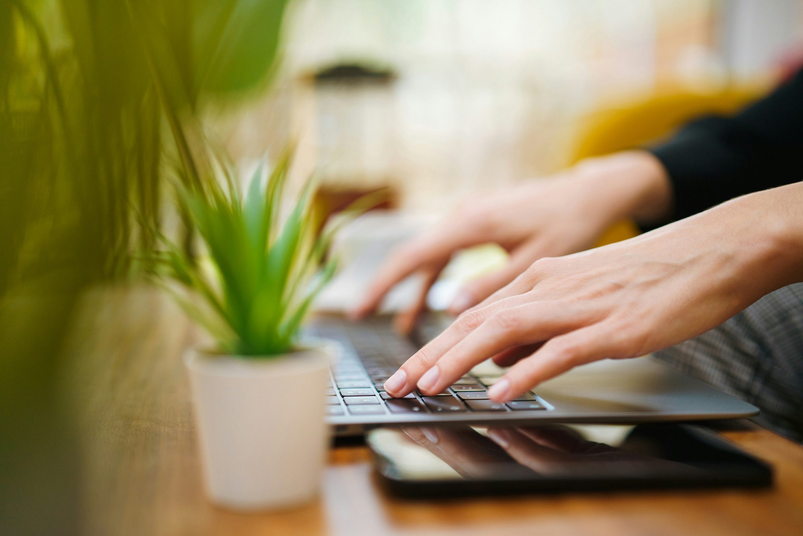 Person typing on their laptop