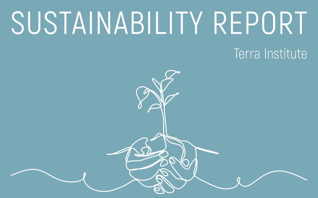 Terra Institute VSME Sustainability Report 2024