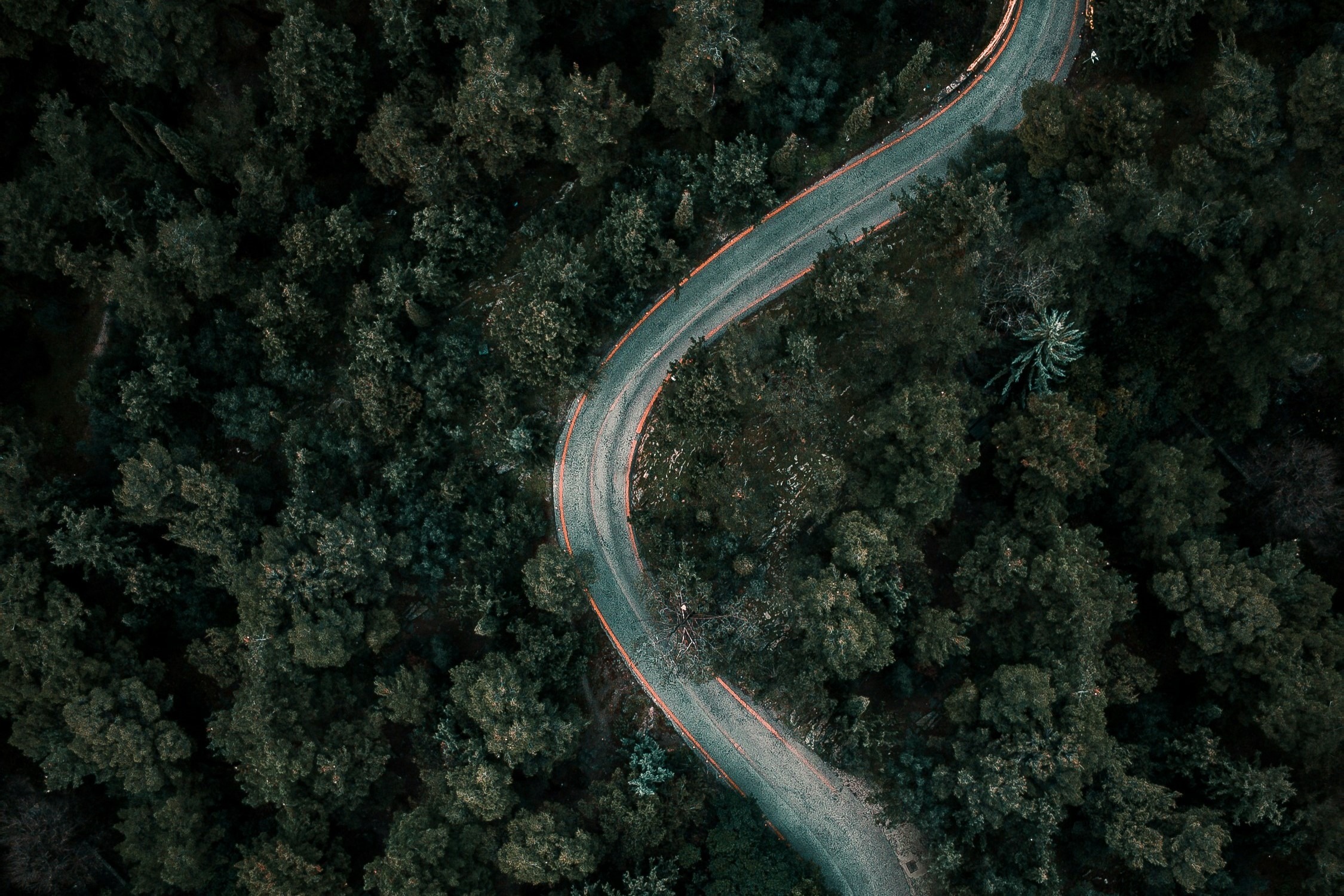Road through a forest photographed from above