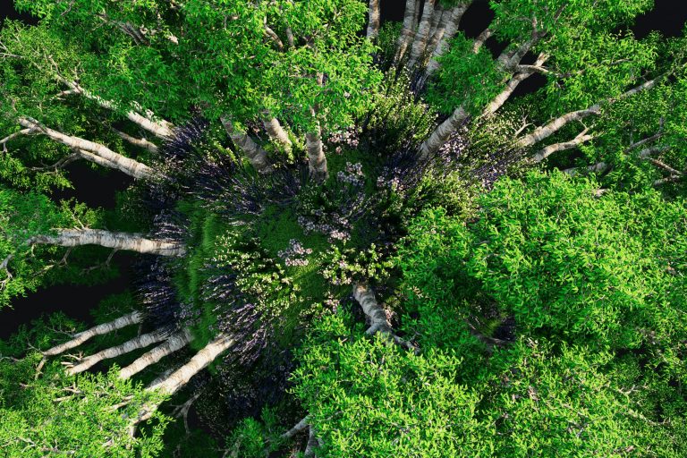 New Perspectives for Modern Leadership