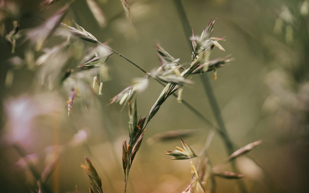 Lower costs, higher returns: Circularity as a revenue and efficiency lever for SMEs