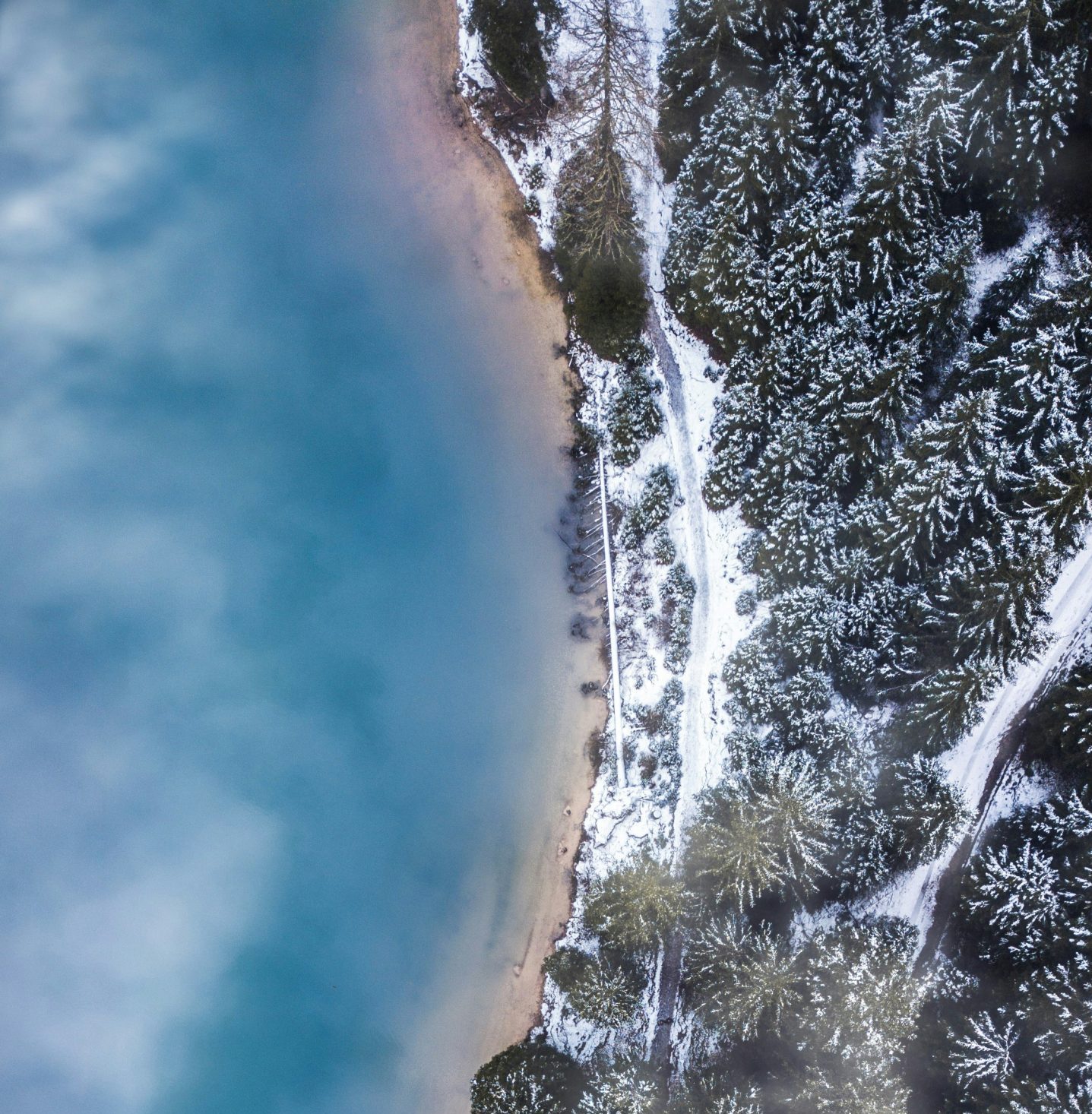 acqua-terra-michael-baccin-scaled Baia dove la sabbia brilla di rosa fotografata dall'alto.