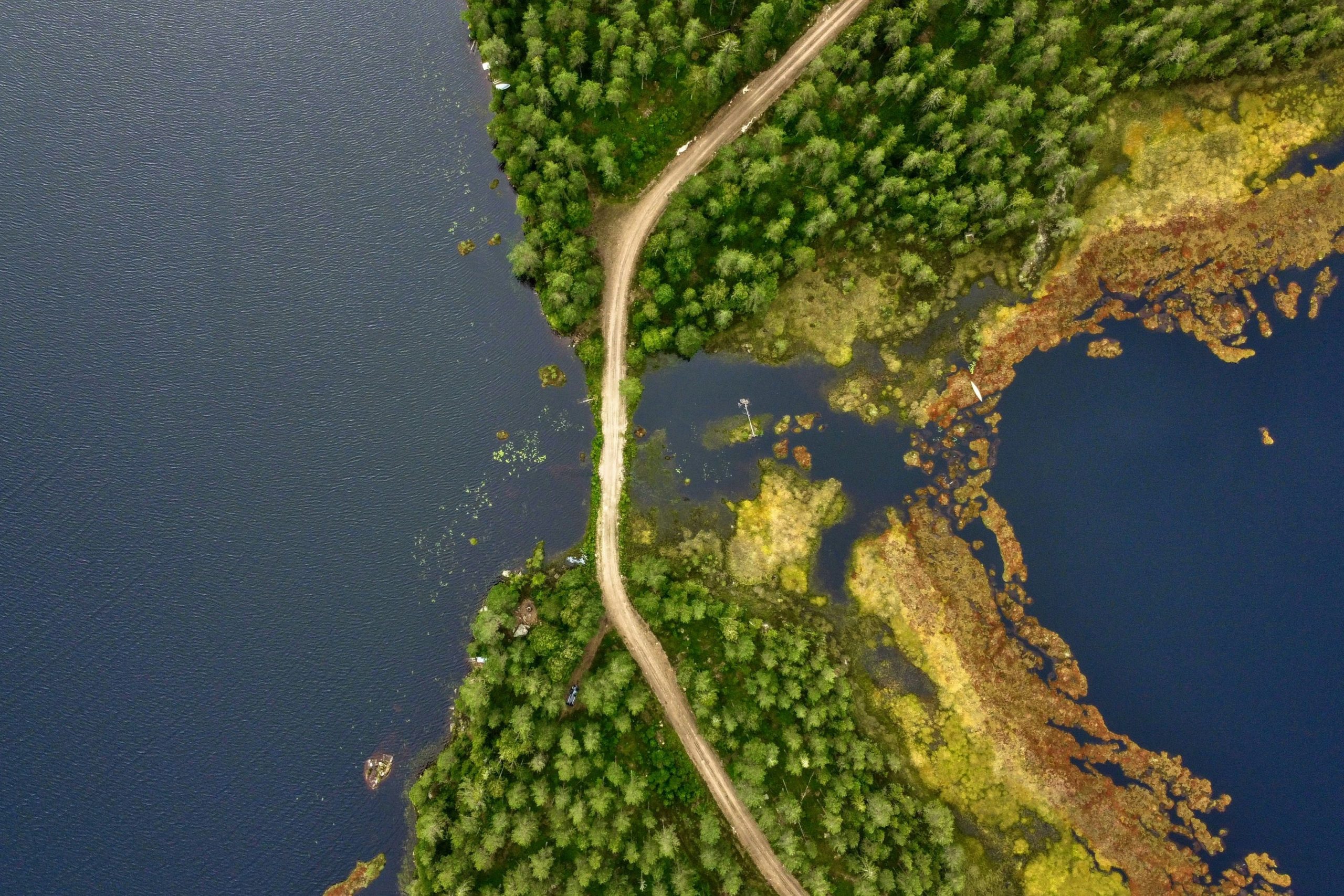 una strada inmezzo al bosco con un fiume, EcoVadis