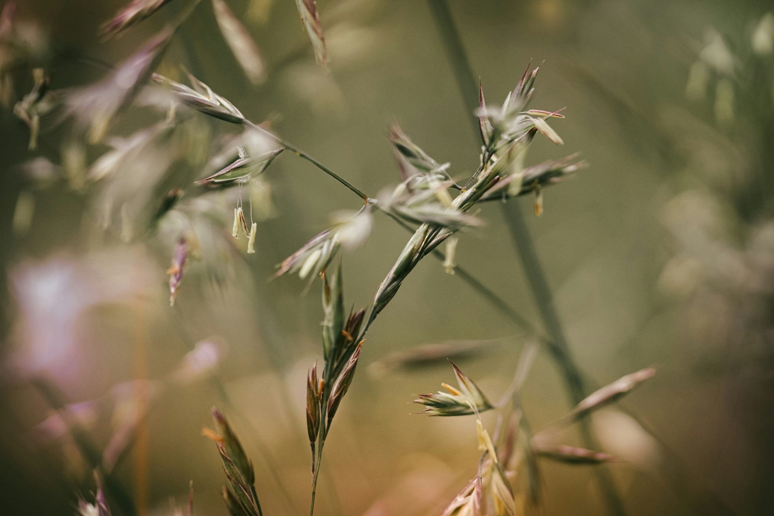 economia circolare-prato