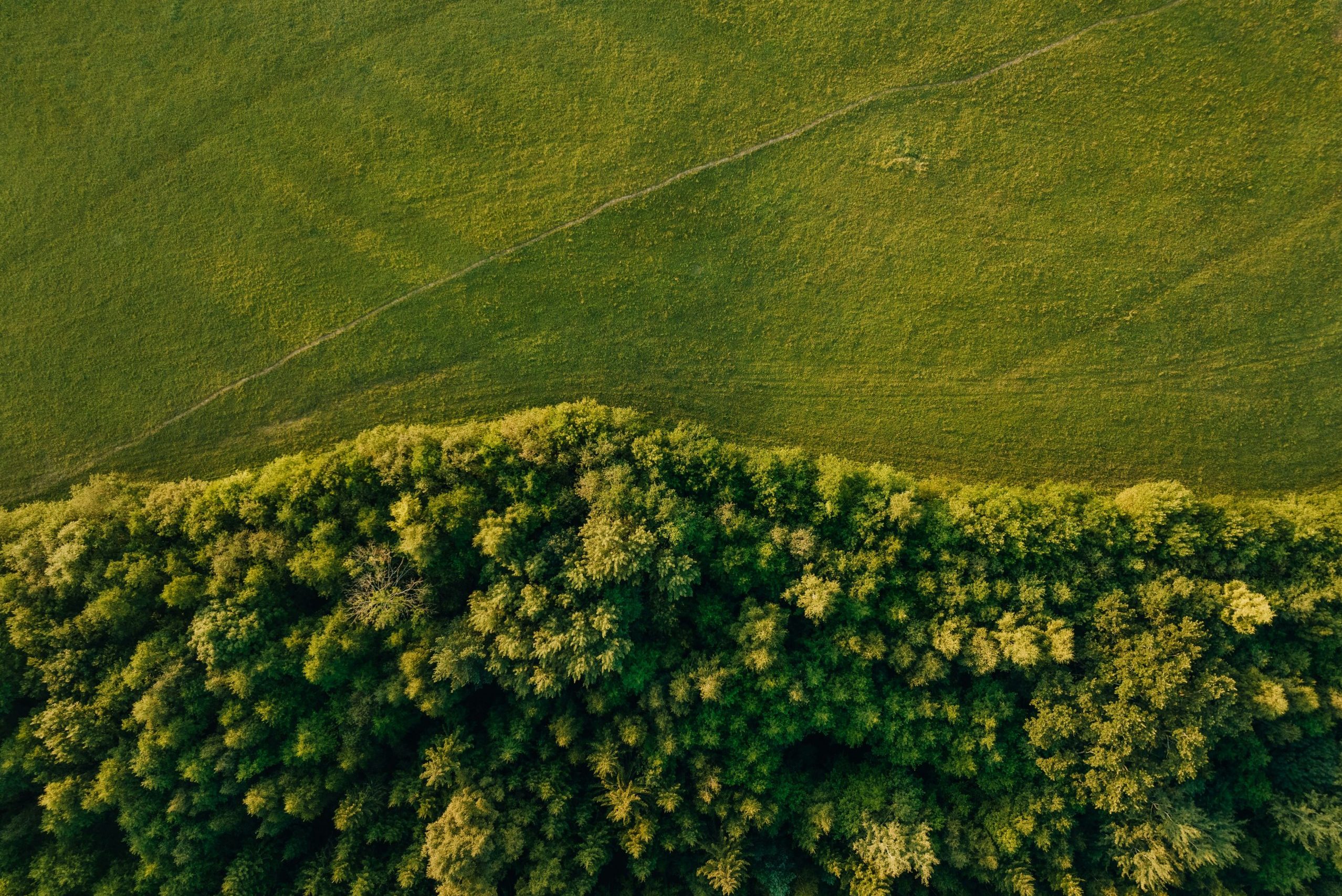 Dall'impronta ecologica all'impronta positiva