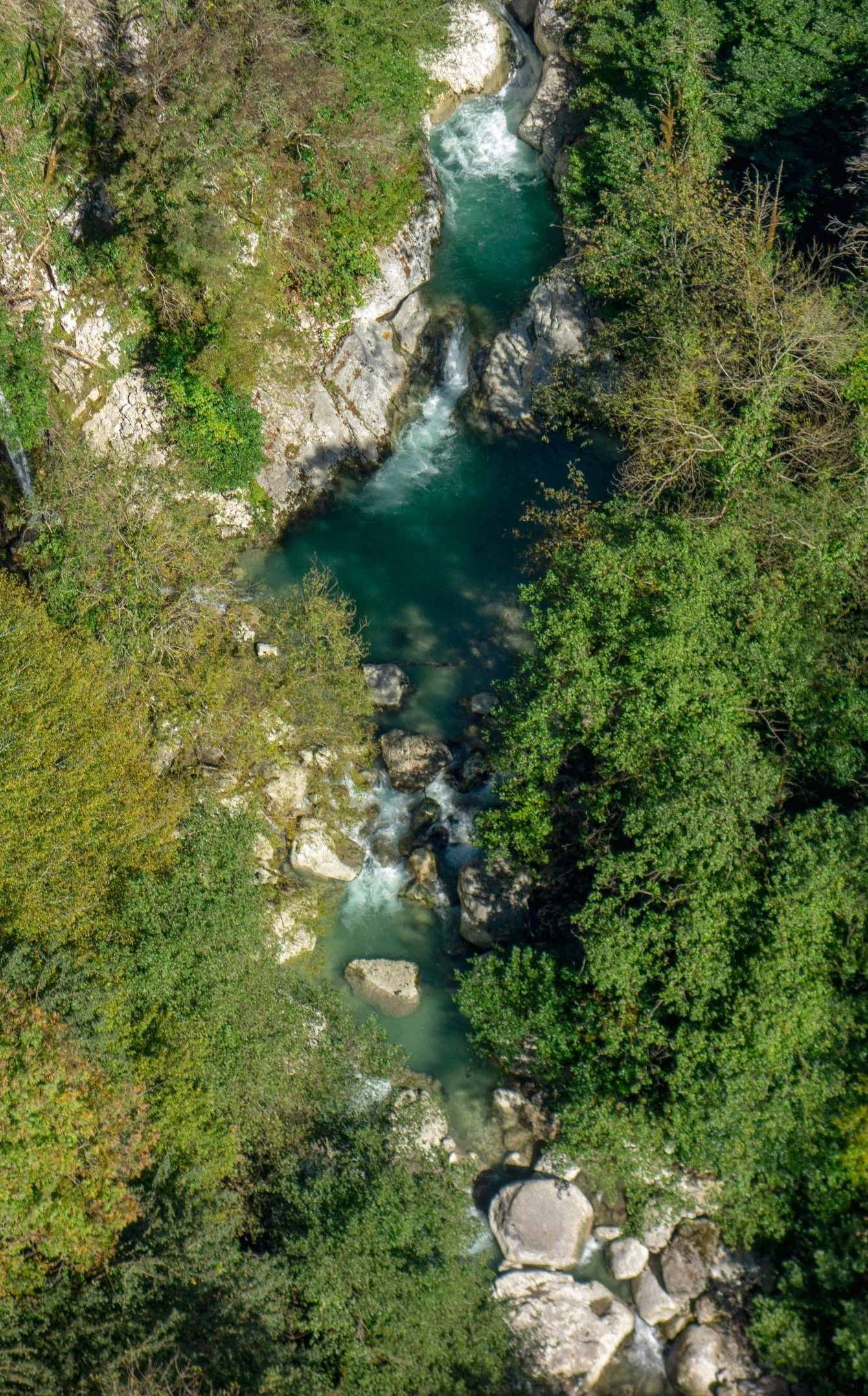 Fluss durch einen Wald von oben 
