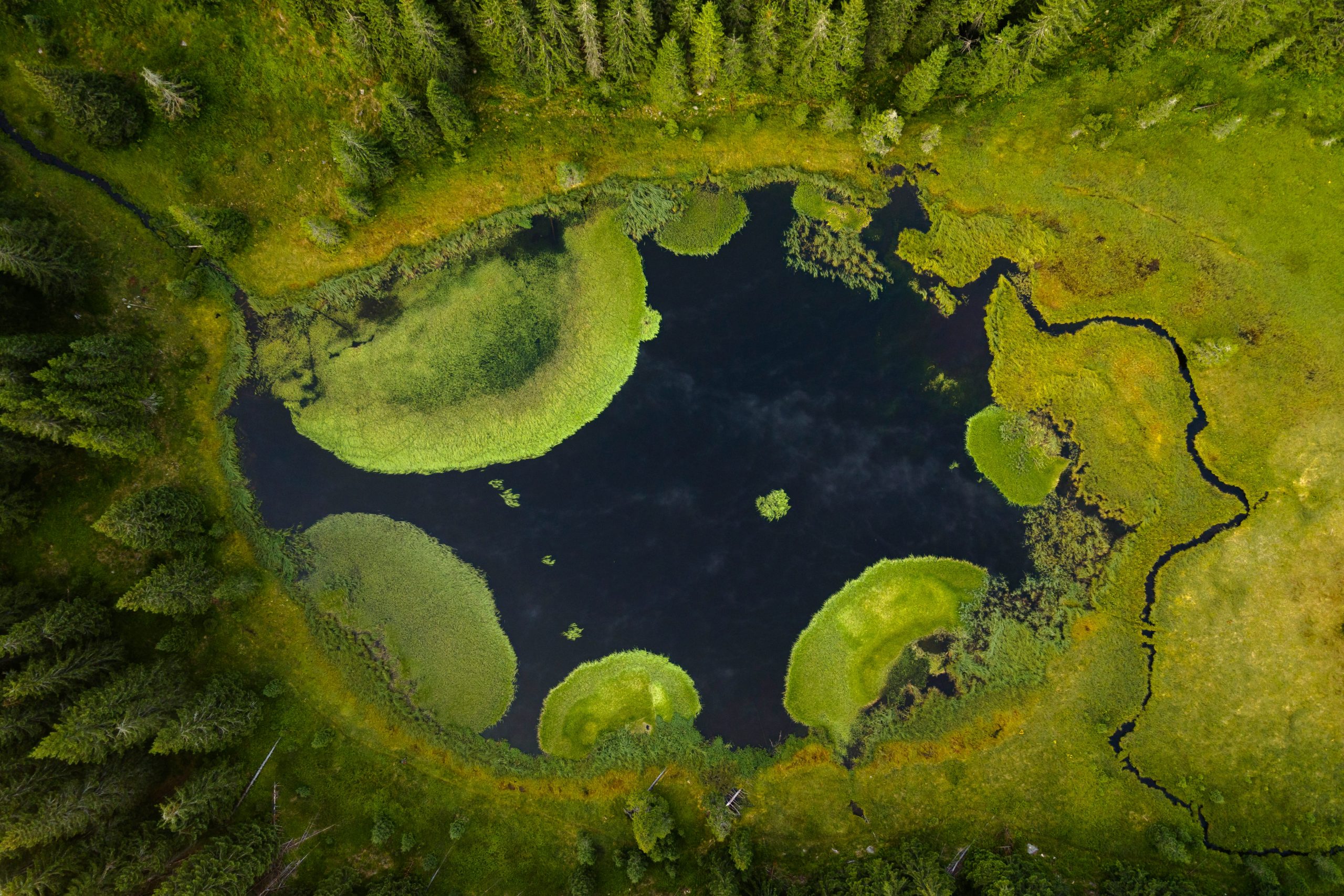 circular readiness, nature. lake