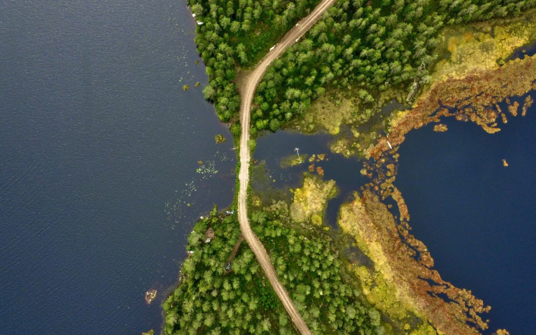 Wettbewerbsvorteile freisetzen: Wie EcoVadis KMU auf ihrem Nachhaltigkeitsweg stärkt