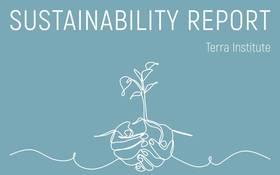 Terra Institute VSME Sustainability Report 2024