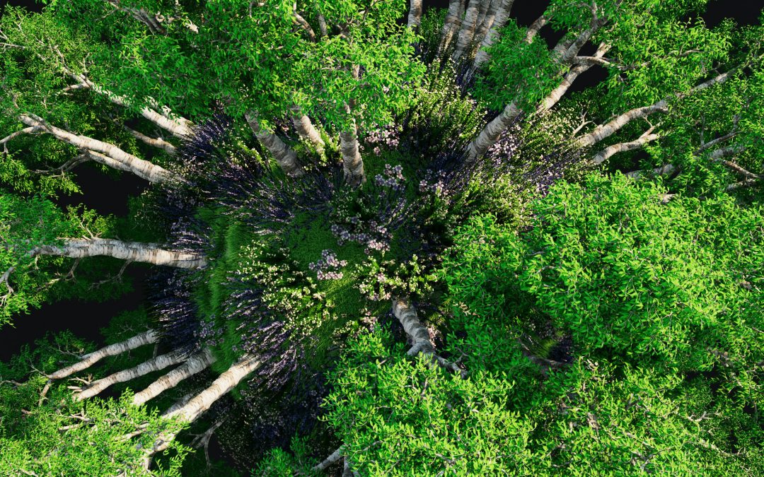 Neue Perspektiven für moderne Führung