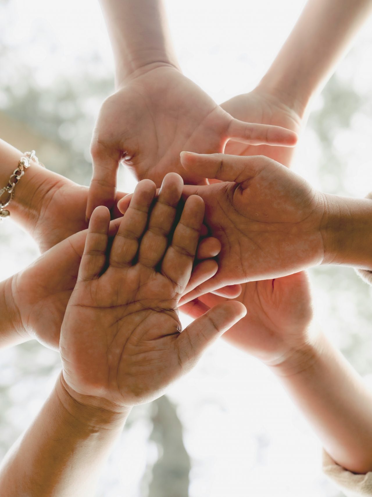 parità, diversità e inclusione