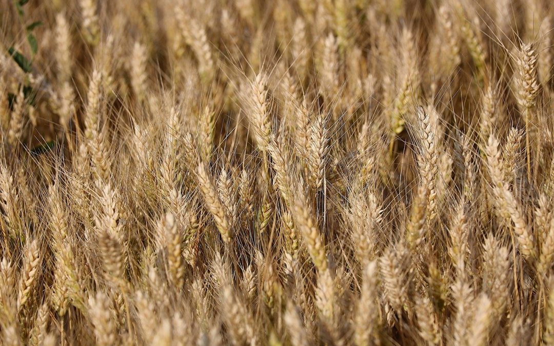 EmpCo und die Zukunft der Nachhaltigkeitskommunikation: Warum Authentizität jetzt entscheidend ist