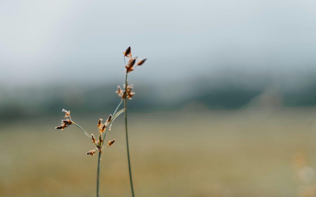 Lieferketten im Wandel: Was KMU jetzt beim Thema ESG wissen müssen