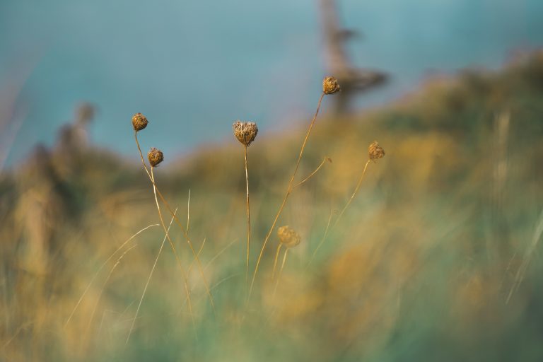 Die „Big 3“ – CSRD, CSDDD und EU‑Taxonomie – was sich gerade verschiebt und was bleibt