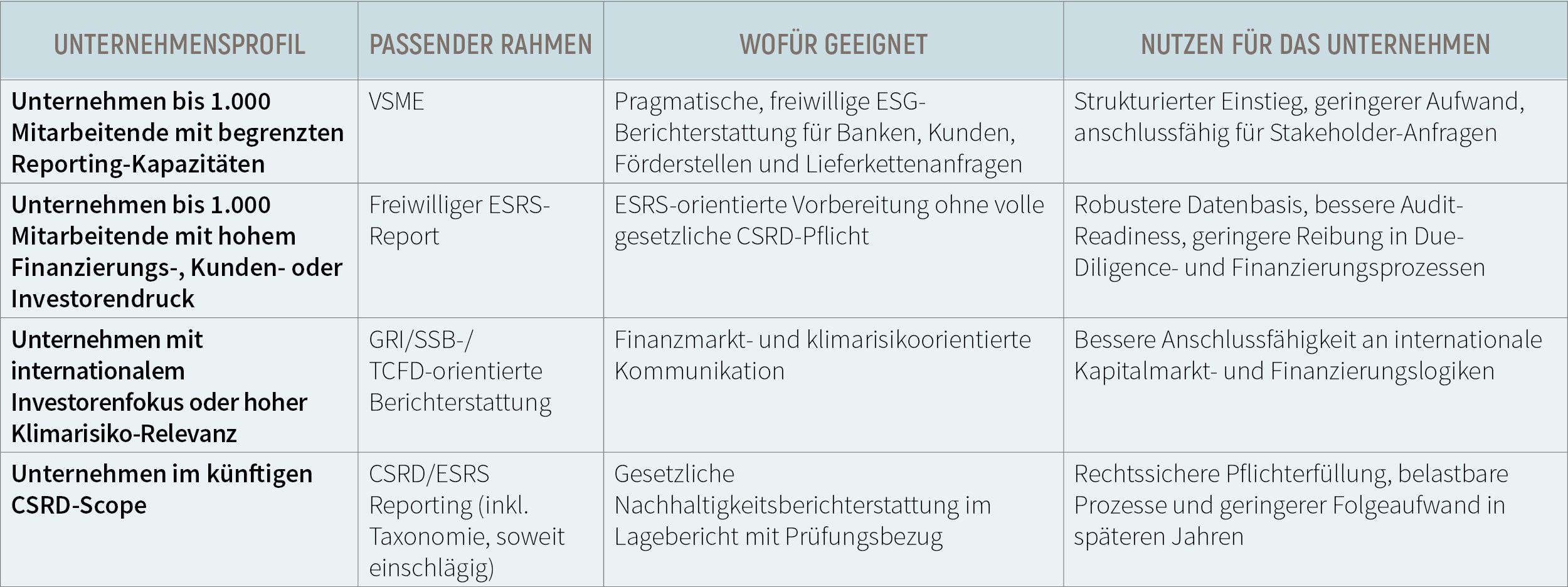 Tabelle Berichtsrahmen Nachhaltigkeitsberichterstattung