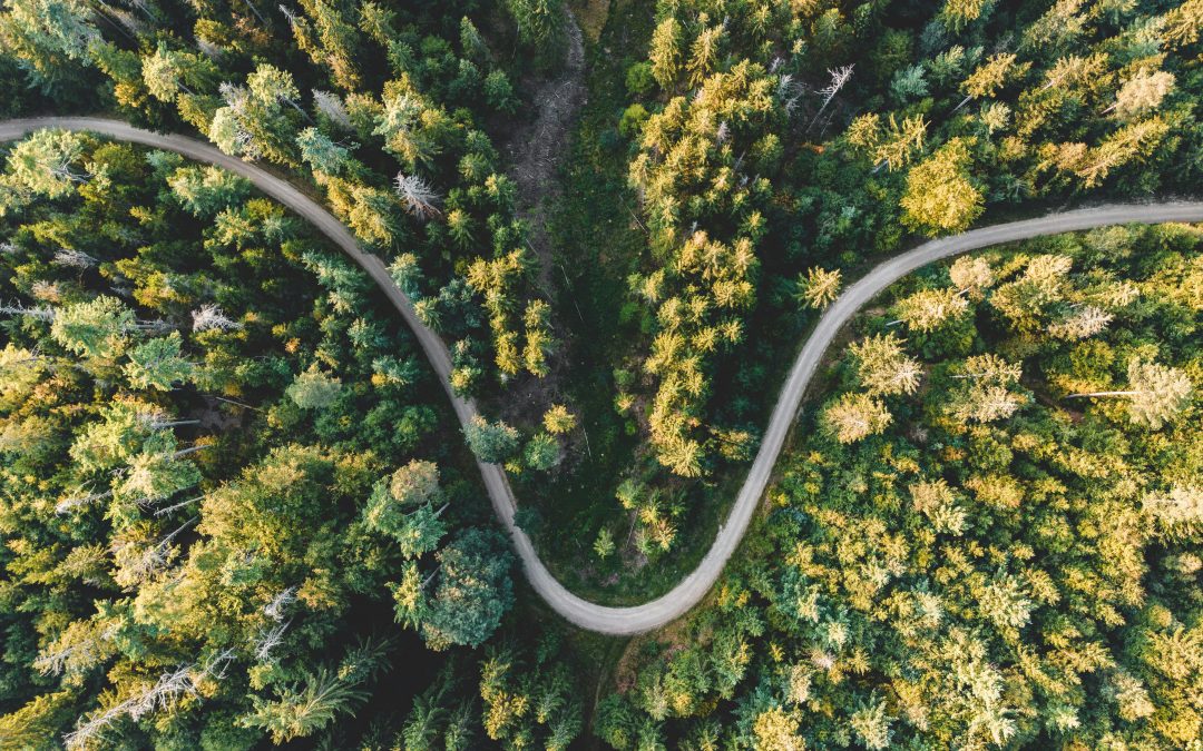 EcoVadis Bewertung: Warum gute Absichten allein nicht mehr reichen